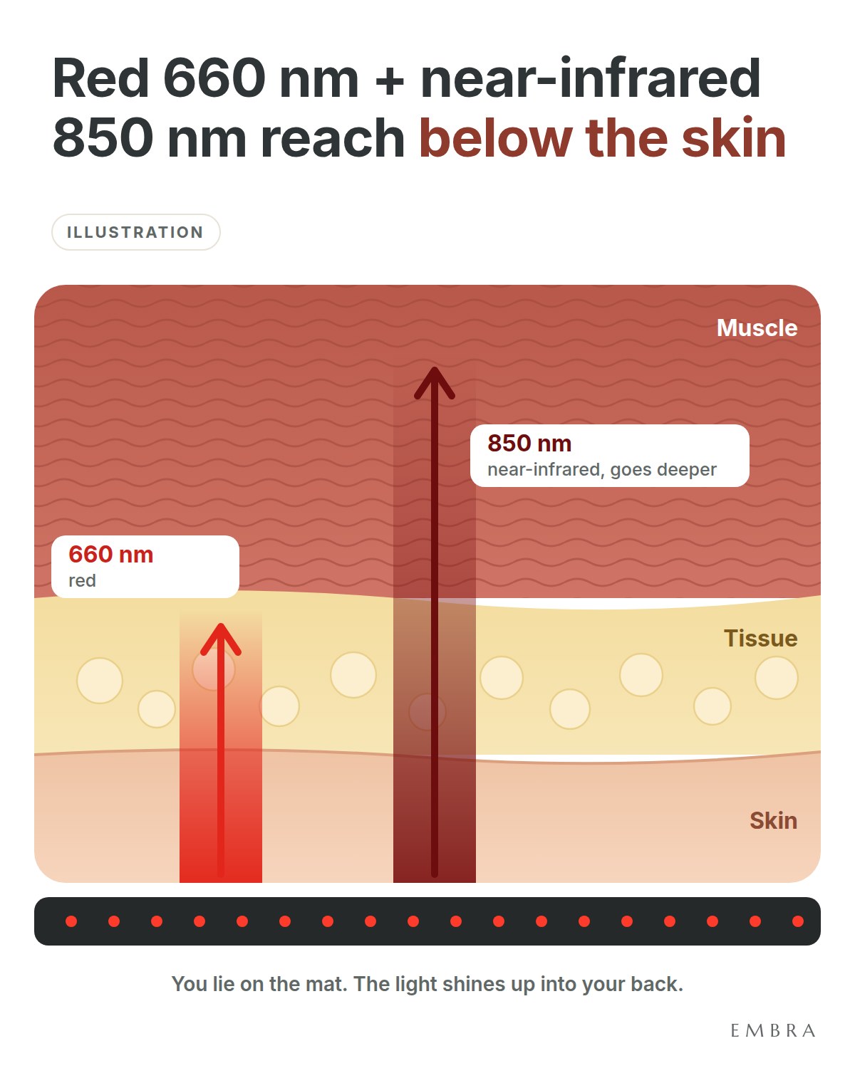 Illustration: Red 660 nm + near-infrared 850 nm reach below the skin. You lie on the mat. The light shines up into your back.